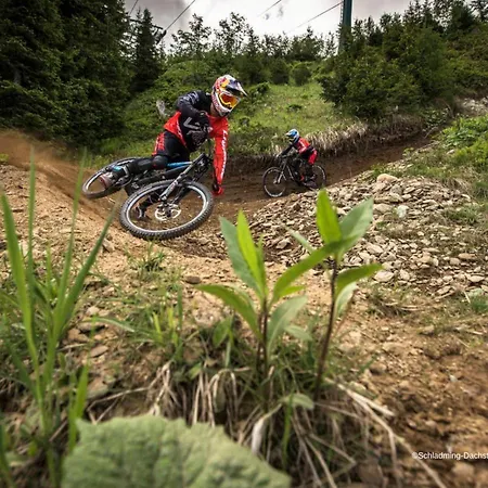 Alpine 208 By Globboard