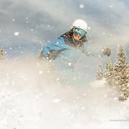 Apartamento Alpine 208 By Globboard Schladming