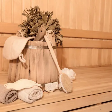 Alpine 208 By Globboard Schladming