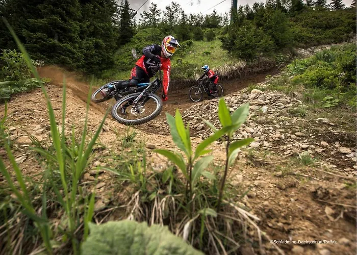 Alpine 208 By Globboard