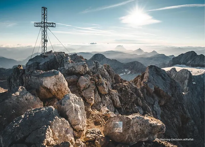 Alpine 208 By Globboard * シュラートミンク